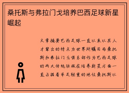 桑托斯与弗拉门戈培养巴西足球新星崛起